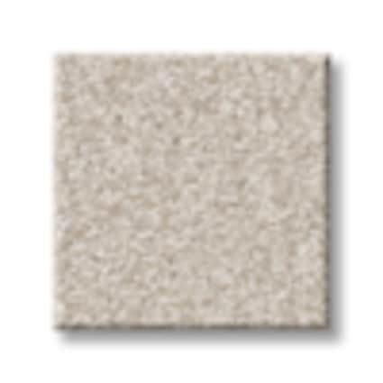 Shaw Brooklyn Bridge Biscotti Texture Carpet with Pet Perfect-Sample